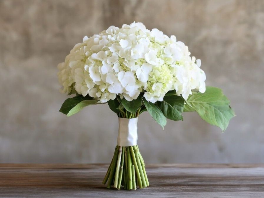 White hydrangea