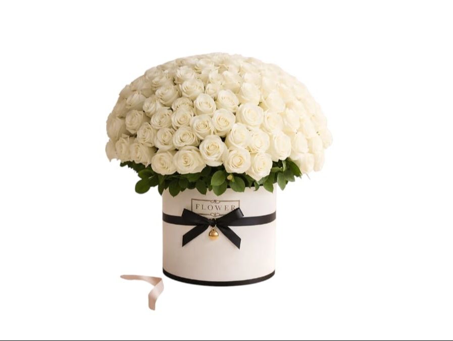 Sincerity Pure Love White