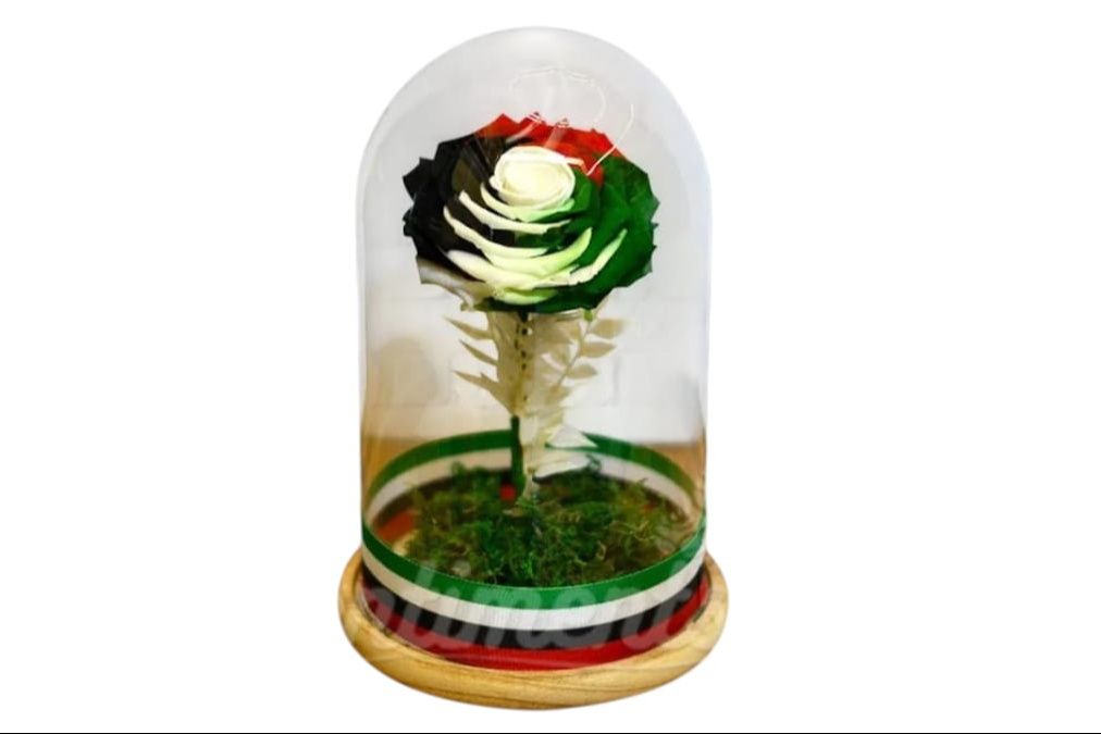 Infinity Rose, UAE National Day