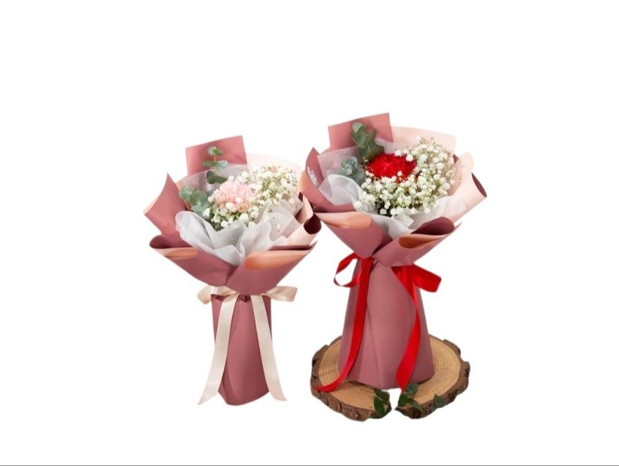 Two Single Carnation Flowers
