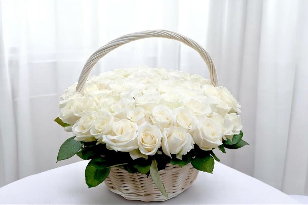 50 Pieces White Roses