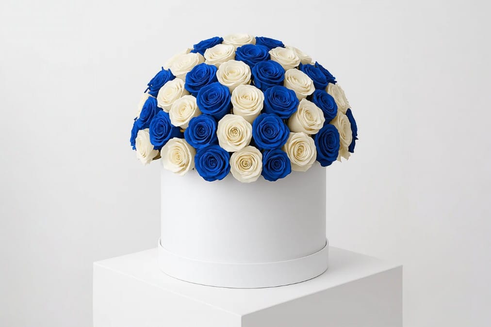 Patient Gift Box – 30 Premium White & Blue Roses