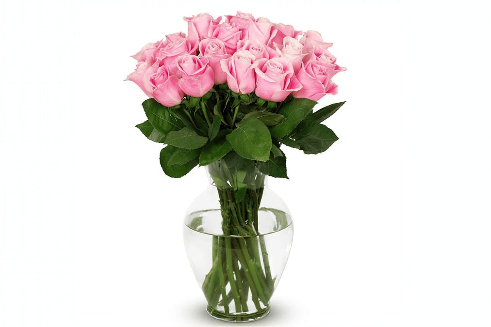 Pink Sensation – 20 Pink Roses Cylinder Vase