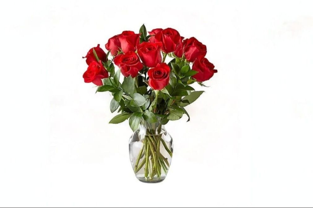 12 Red Roses in a Vase