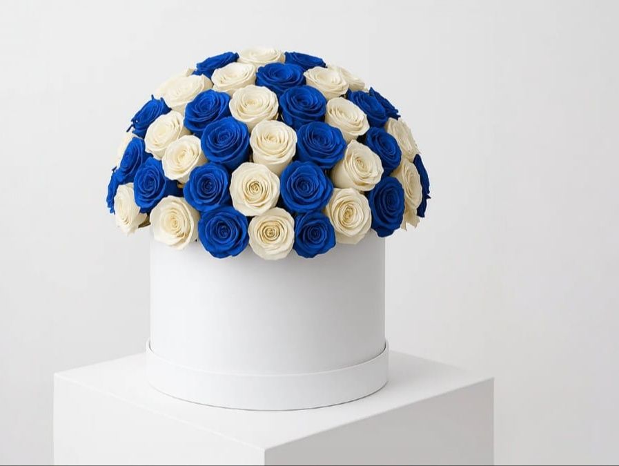 White in blue box