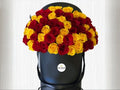 Nicolo Box Of Roses