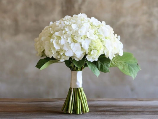 White hydrangea