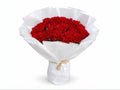 Love Carnation