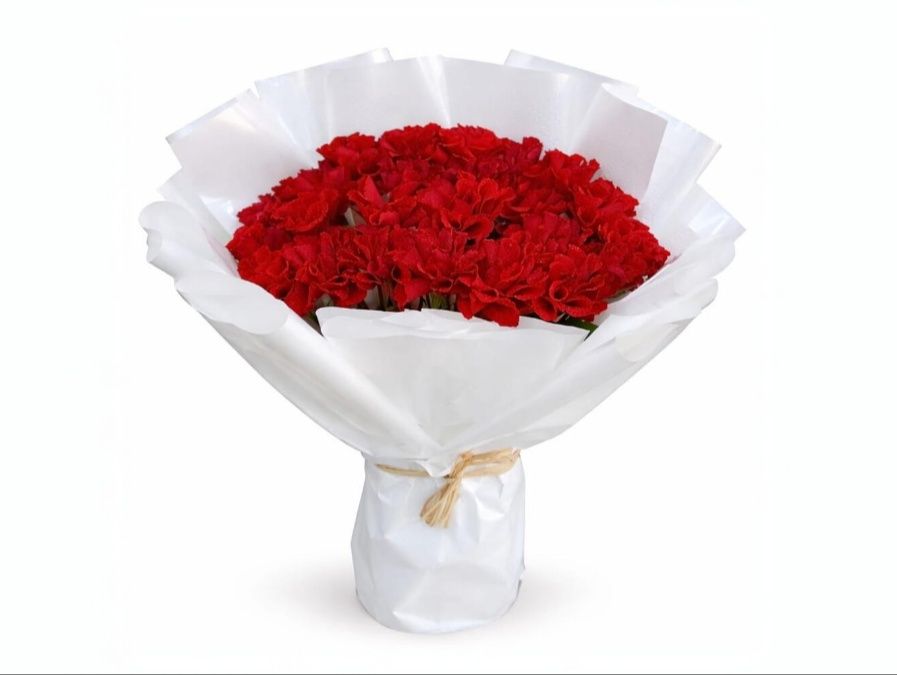 Love Carnation