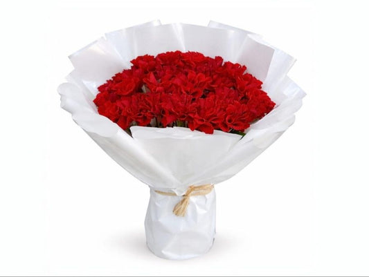 Love Carnation