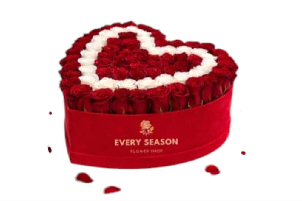 Love Heart One