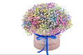 A Colorful Box Of Gypsophila Flowers