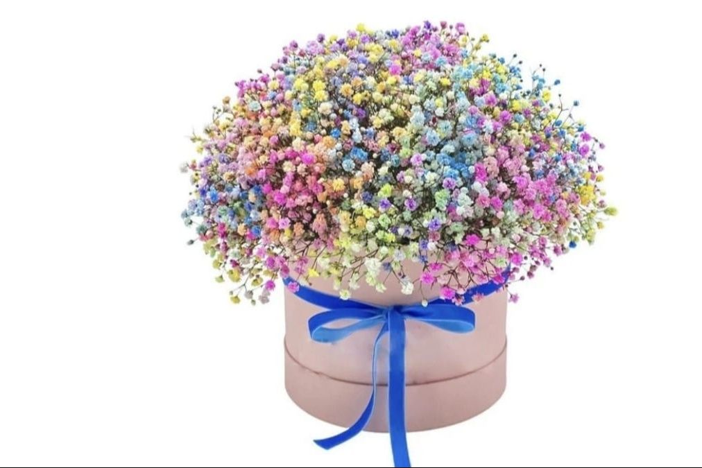 A Colorful Box Of Gypsophila Flowers