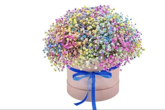 A Colorful Box Of Gypsophila Flowers