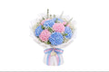 Blue and Pink Hydrangea