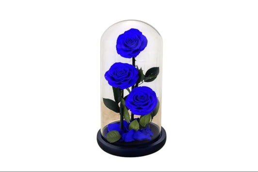 Royalty Love Blue Infinity Rose
