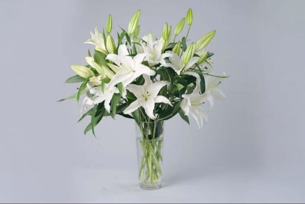 White Lily Vase