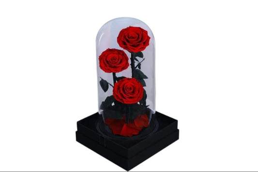 Red Trio Forever Rose Collection