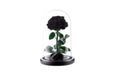 Single Black Infinity Rose
