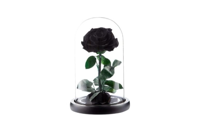 Single Black Infinity Rose