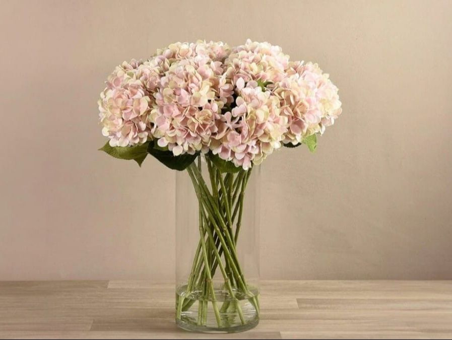 Fresh White Hydrangea
