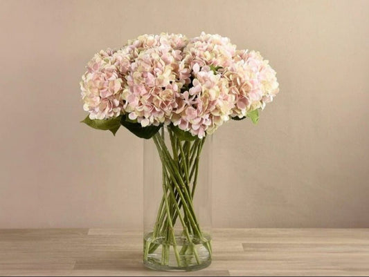 Fresh White Hydrangea