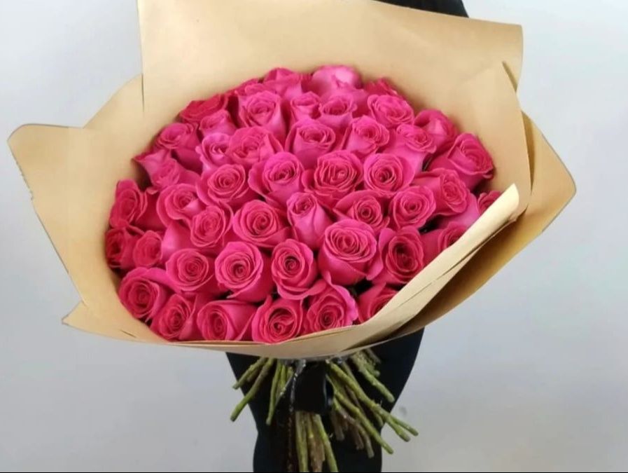 Pink Rose Petals