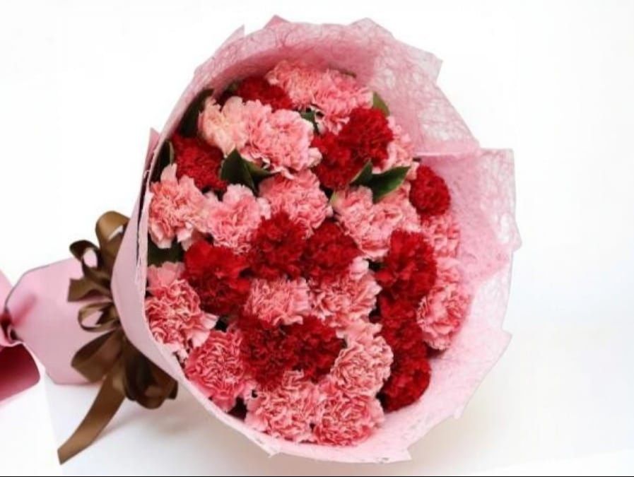 Red And Pink Carnations Bouquet