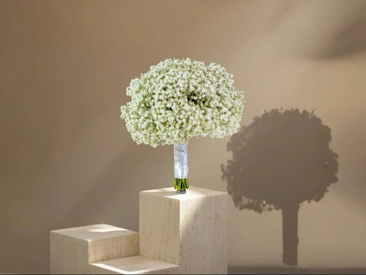 Gypsophila Flower Arrangement
