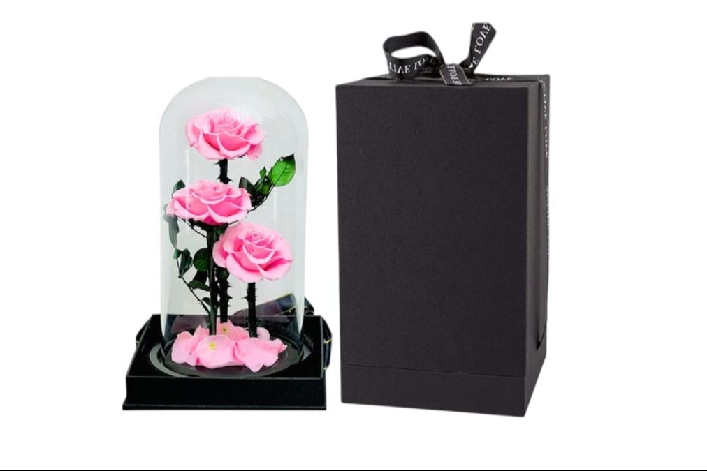 Trio Forever Rose Pink