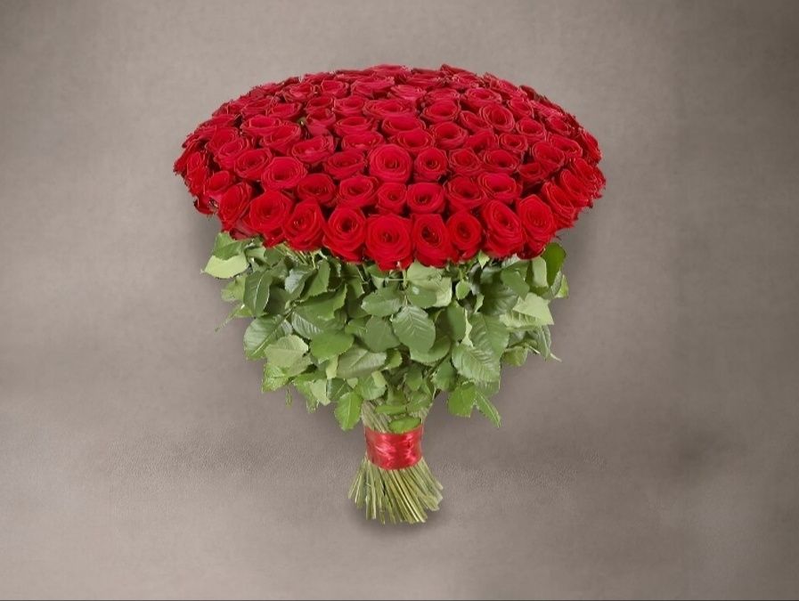 101 Red Rose Love Night
