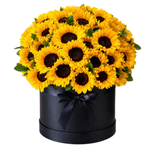 Flower Boxes