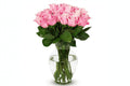 Pink Sensation – 20 Pink Roses Cylinder Vase