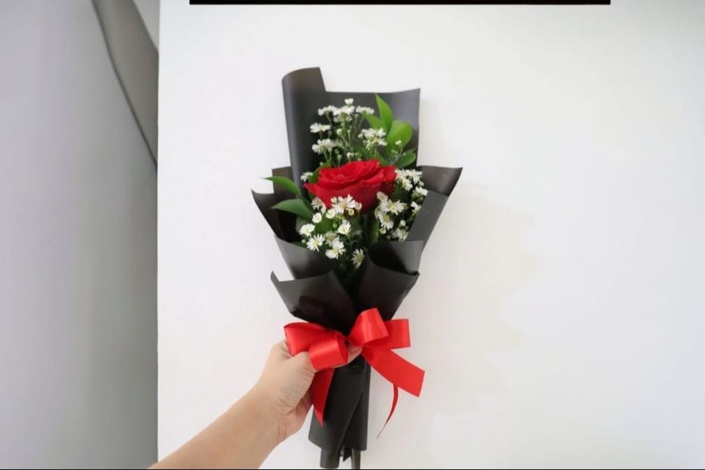 Single red rose