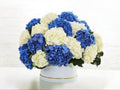 Famous hydrangea box
