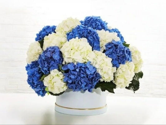 Famous hydrangea box