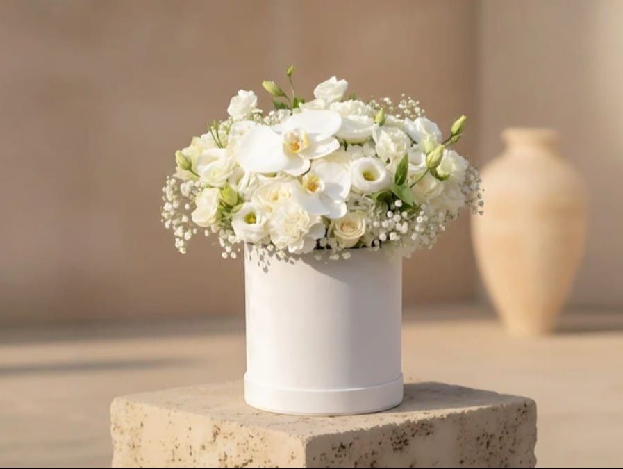 Pure White Elegance