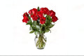 12 Red Roses in a Vase