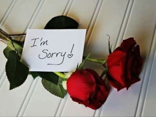 Im sorry red rose