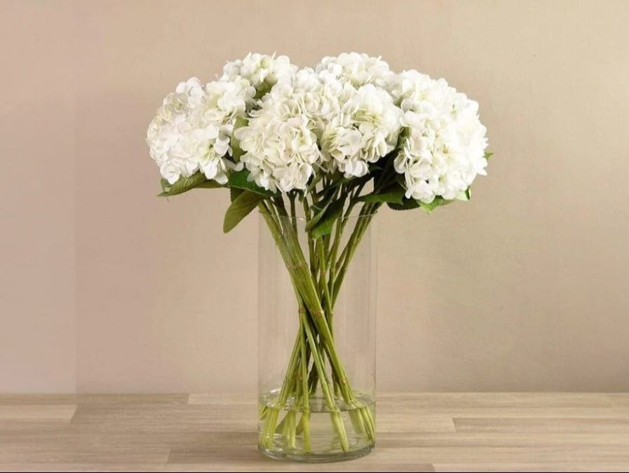 Fresh White Hydrangea vase