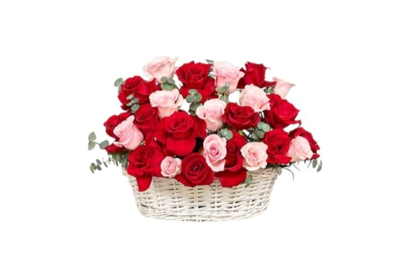 For the Love Of Life
