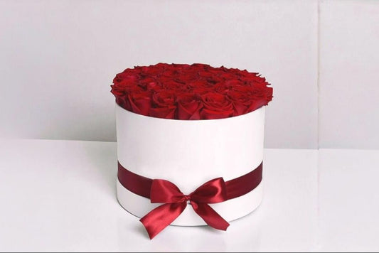 Red Rose in White Box - 41 Pieces