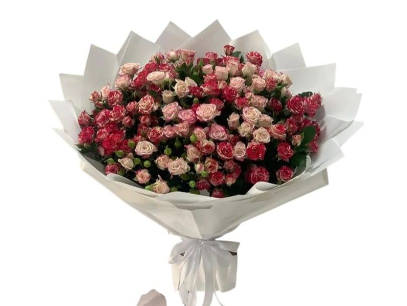 Baby Love Rose