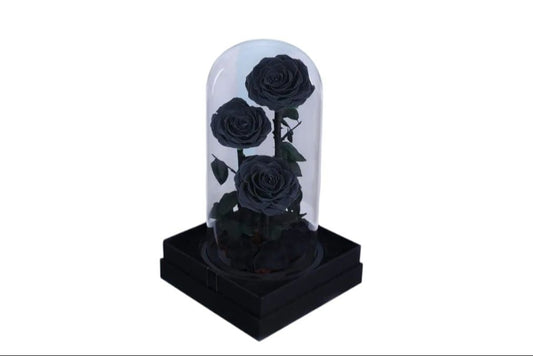 Black Trio Forever Rose